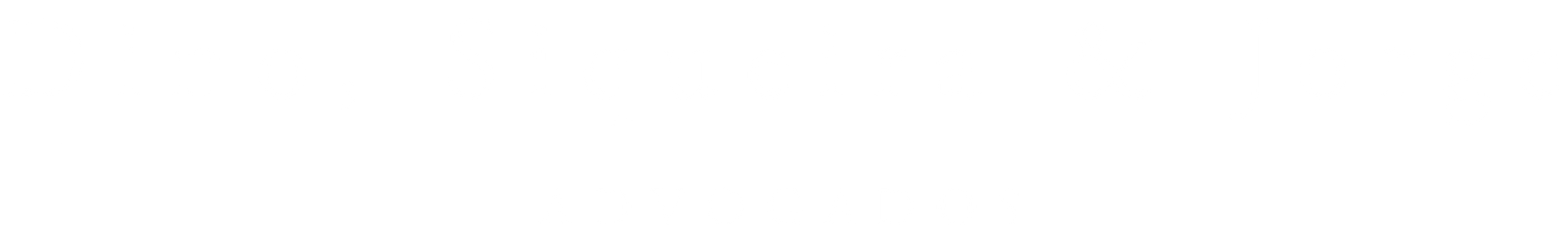 Logo Dino Siqueira Jorge